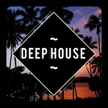 Listen latest popular Electronic genre(s) with radio Just Deep House on :app_name.