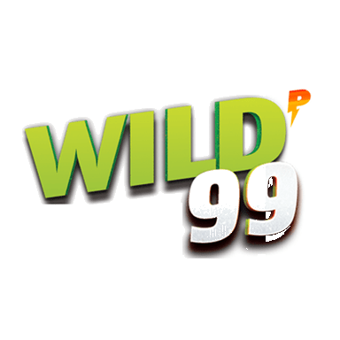 Listen latest popular EDM - Electronic Dance Music, Dance, House genre(s) with radio Powerhitz.com - Wild 99 on :app_name.